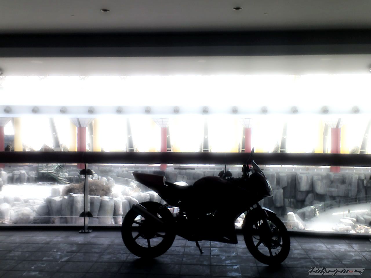 Bike Photo 1334075