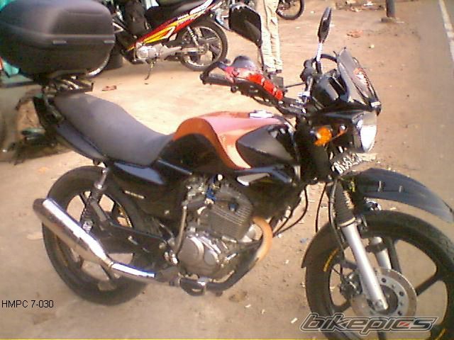 Photo 1334112