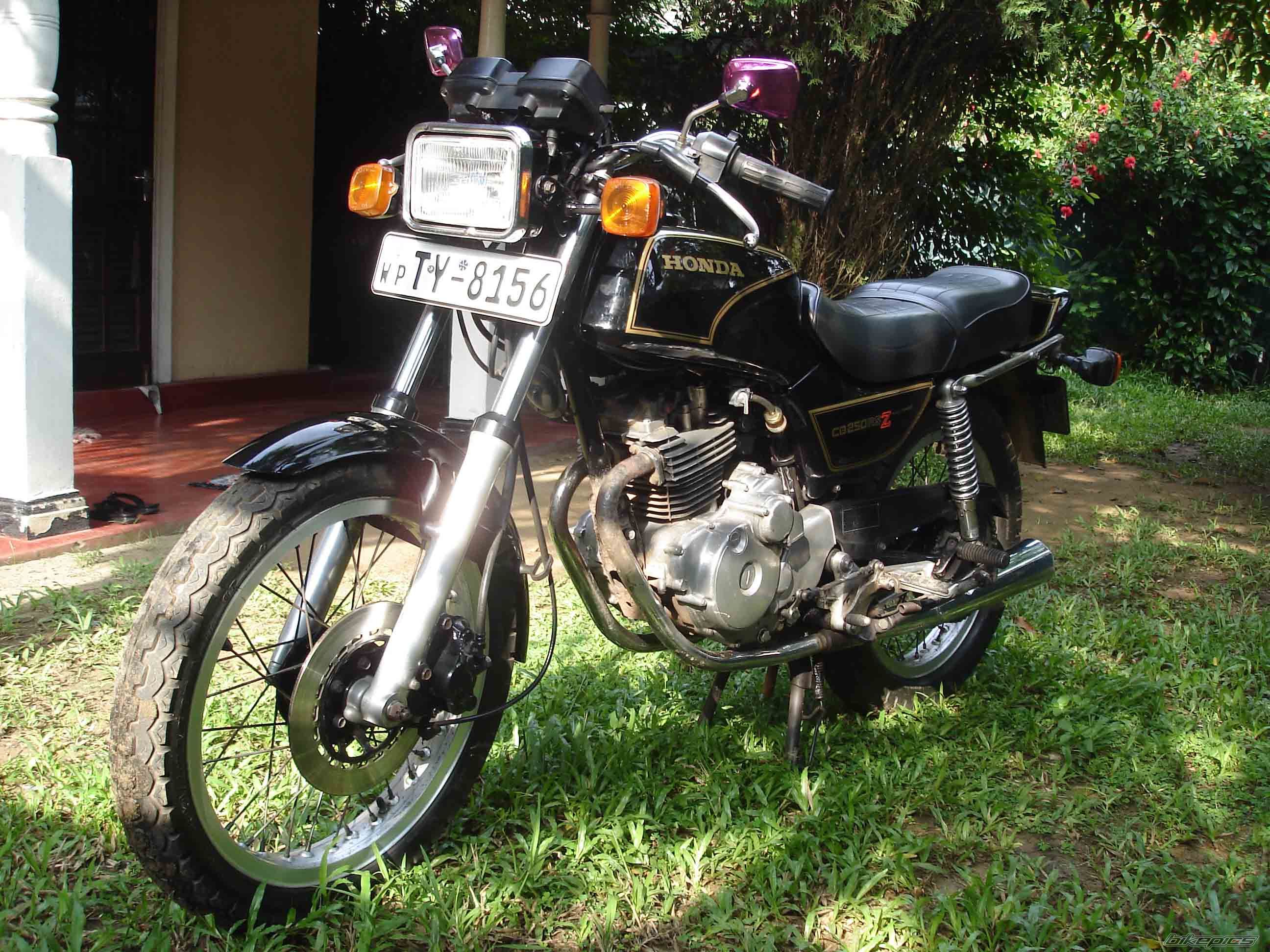Photo 1334172
