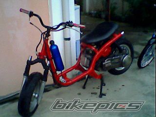 Photo 1334303