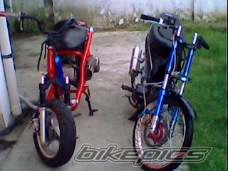 Photo 1334304