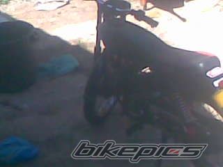 Photo 1334333