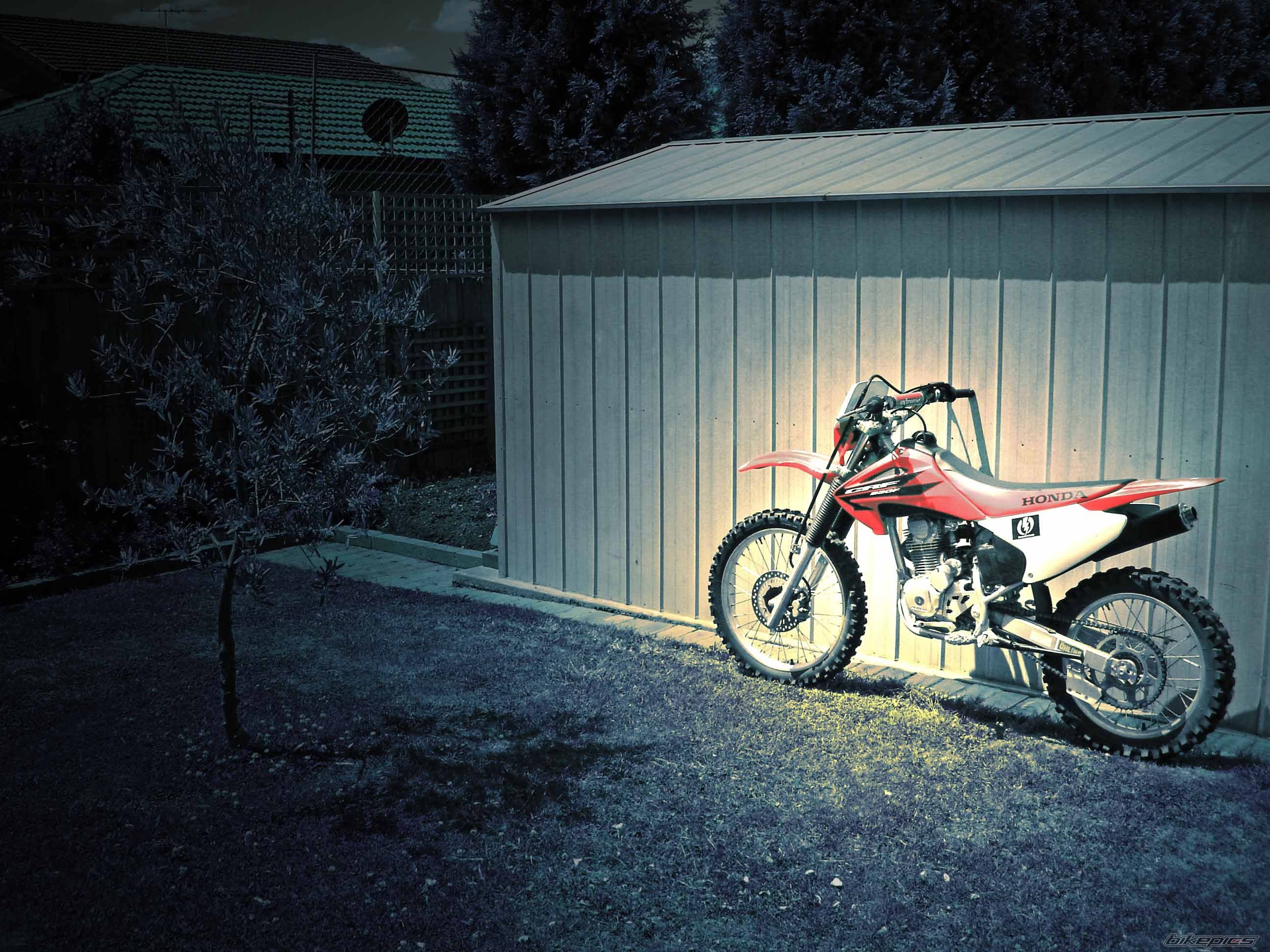 Photo 1334349