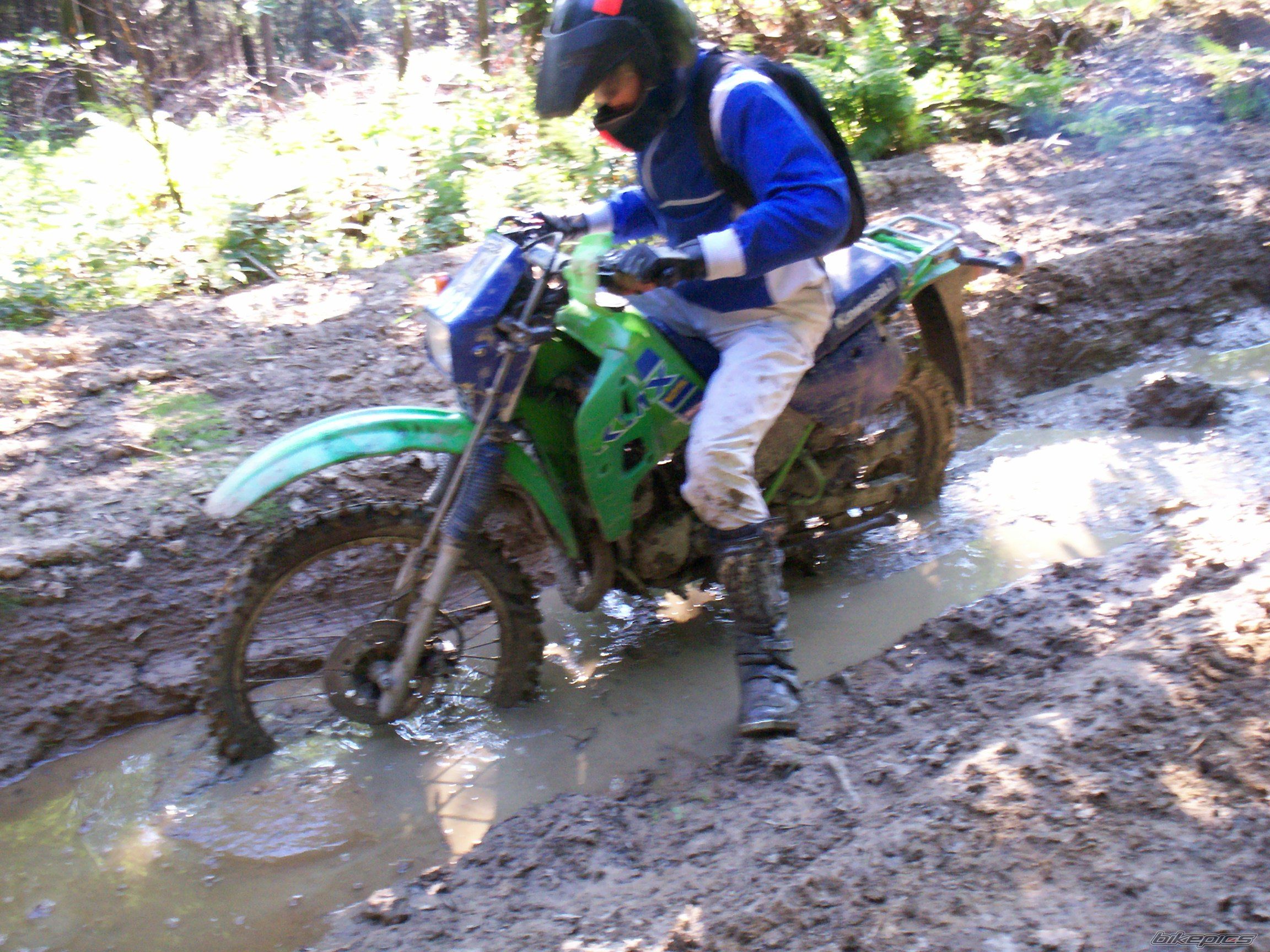 Photo 1334487