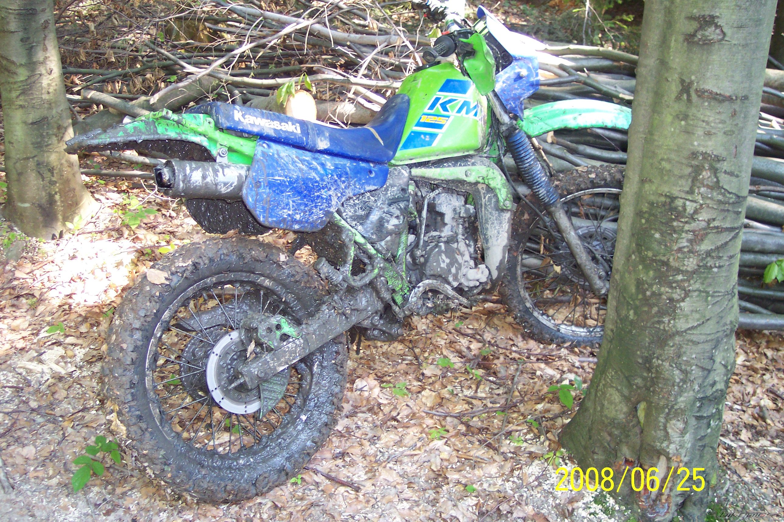 Photo 1334490