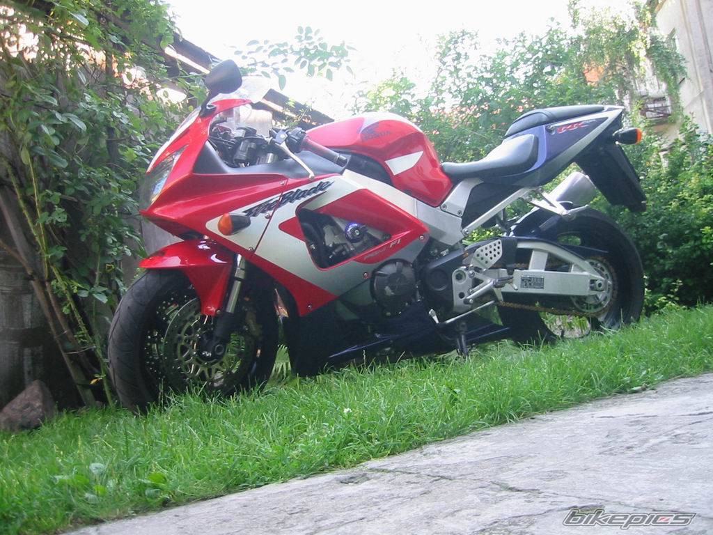 Photo 133462