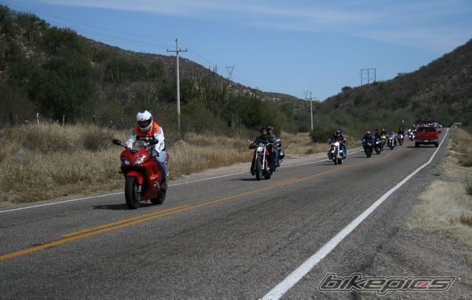 Photo 1334622