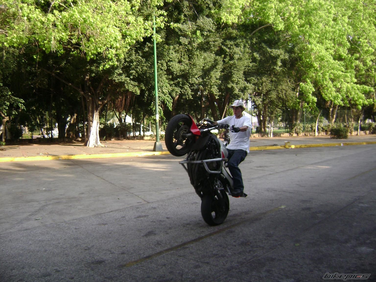 Photo 1334740