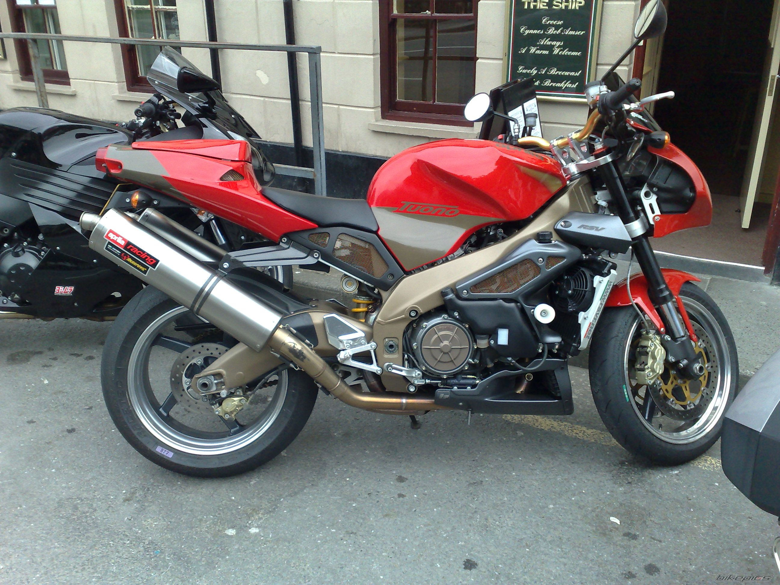 Photo 1334791