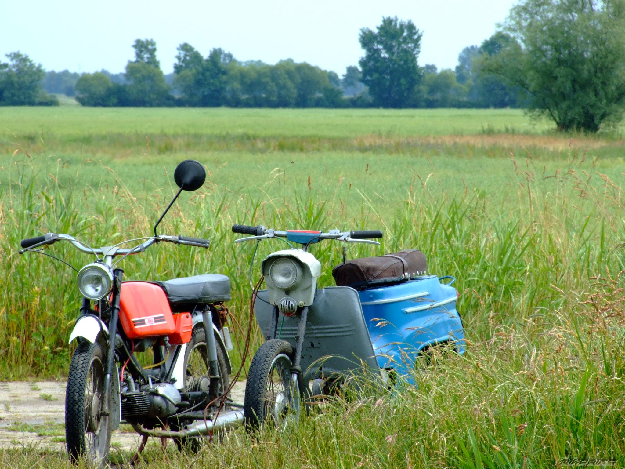 Bike Photo 1334839