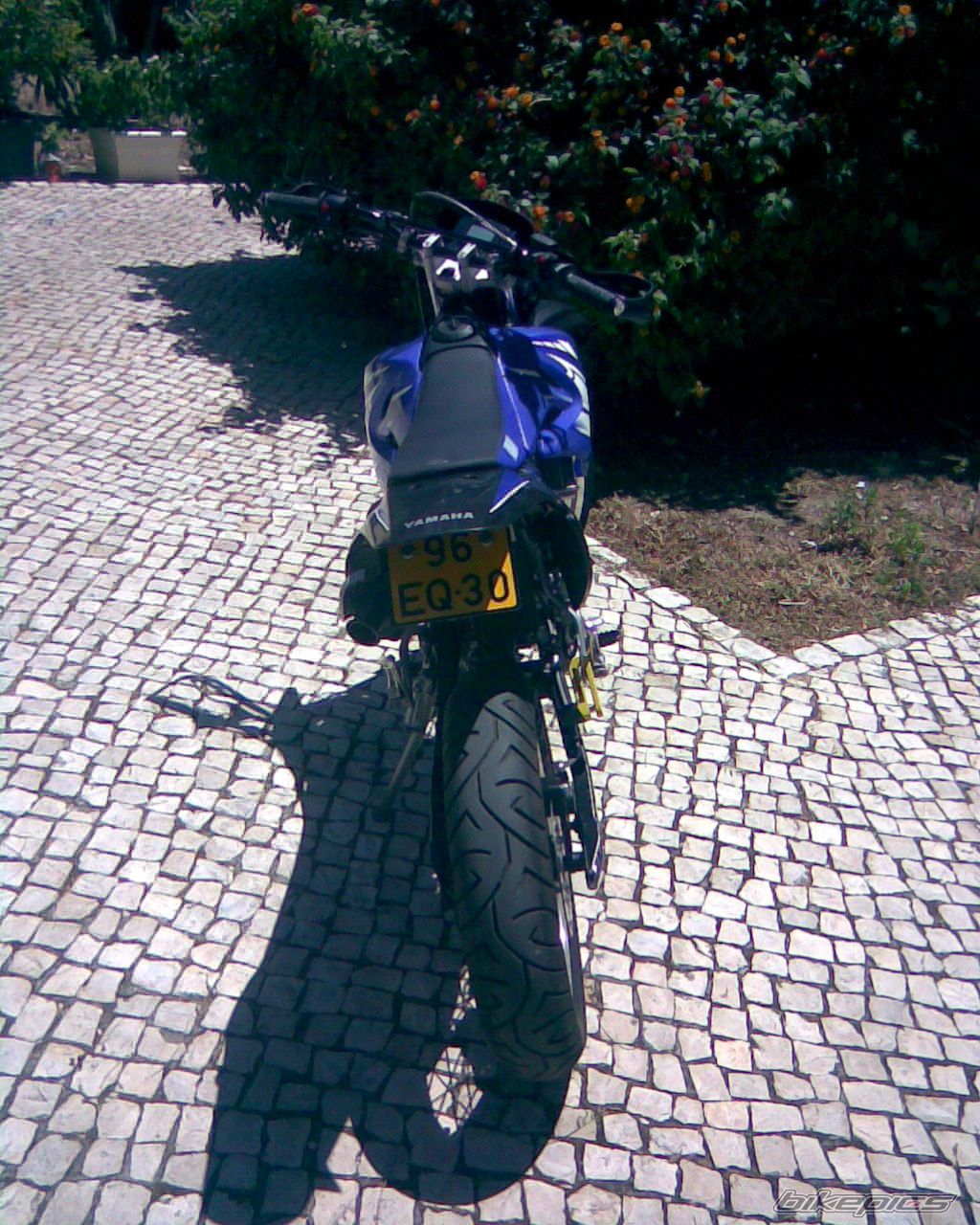 Photo 1334842