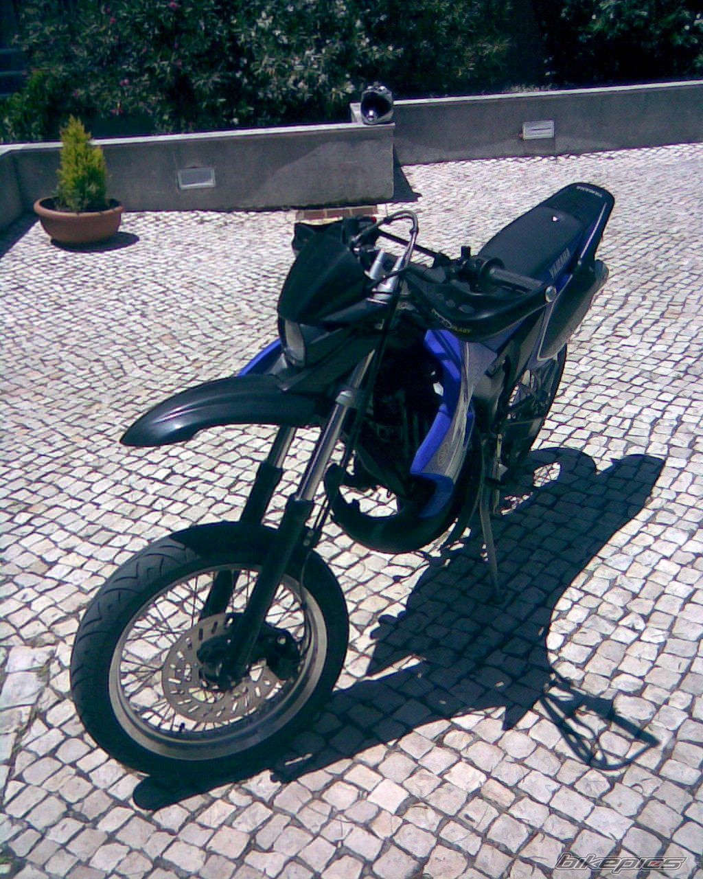 Photo 1334850