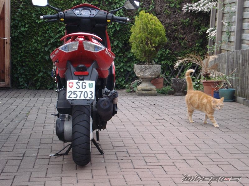 Photo 1334941