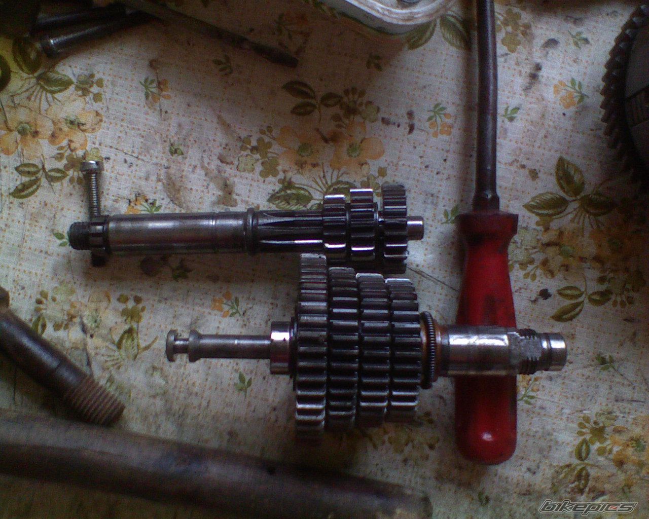 Bike Photo 1334952