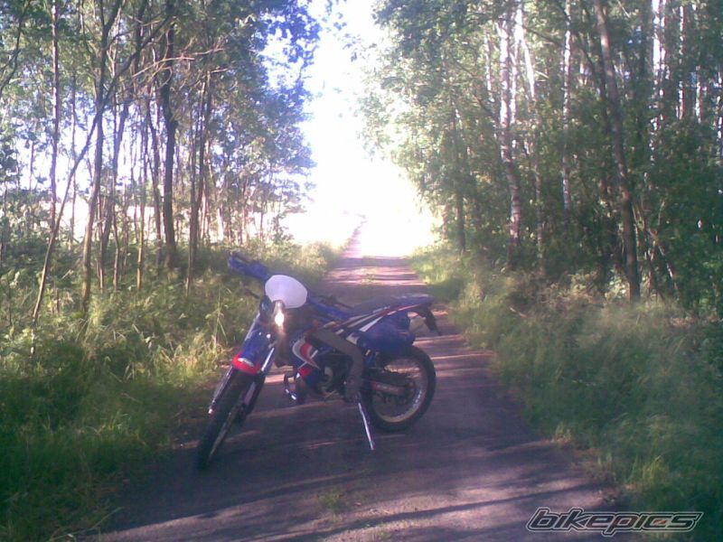Photo 1335079