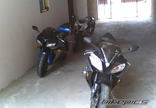 Photo 1335106