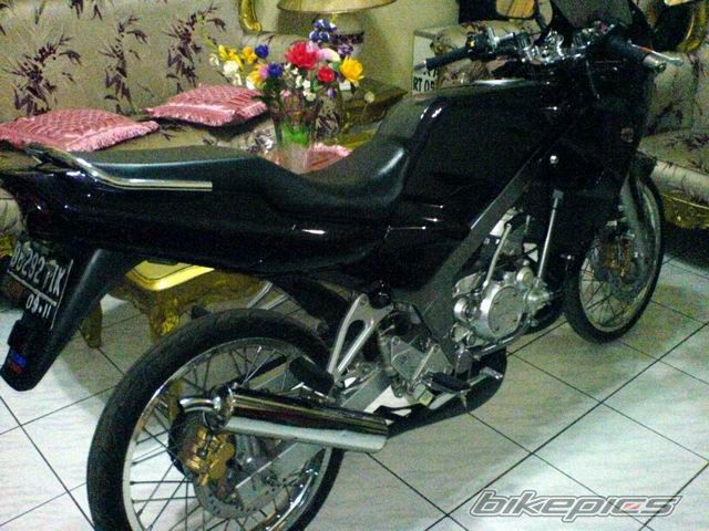 Photo 1335185