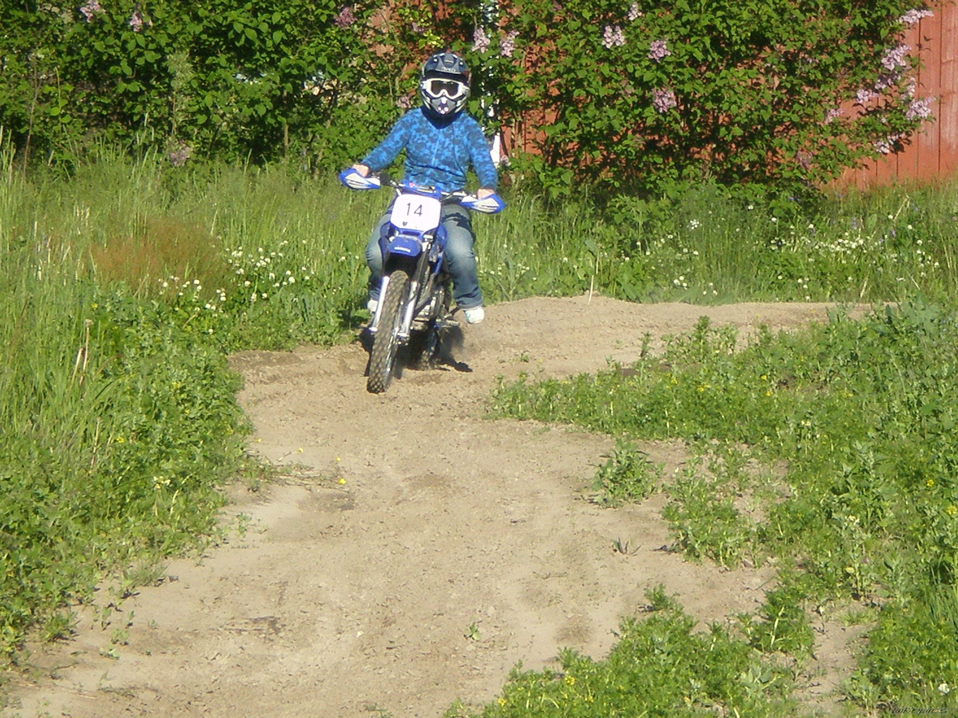 Photo 1335264