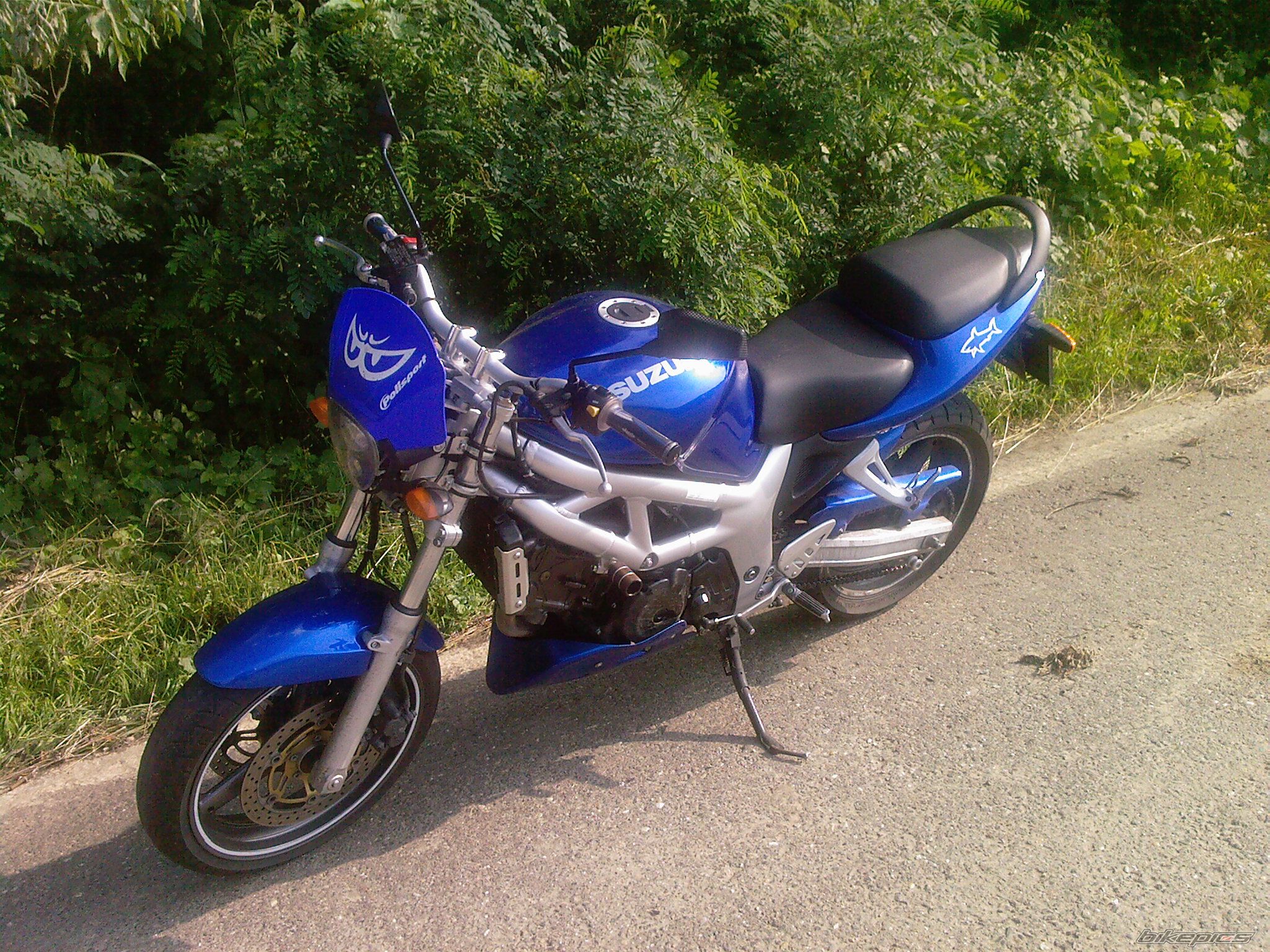 Photo 1335299