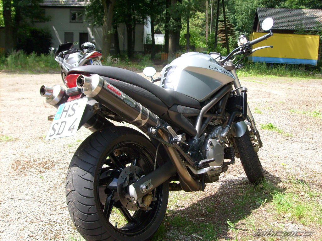 Photo 1335339