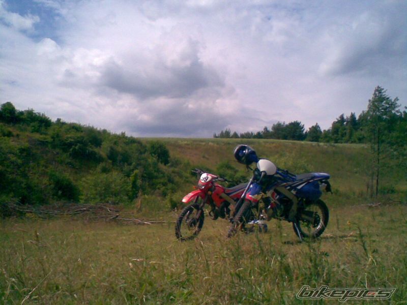 Bike Photo 1335476