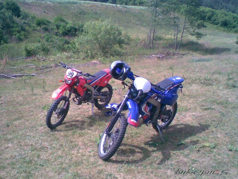 Photo 1335477