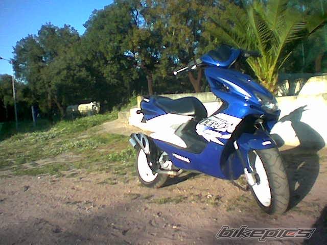 Photo 133553