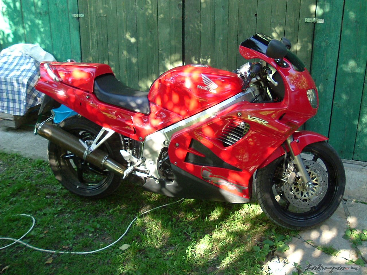 Photo 1335564