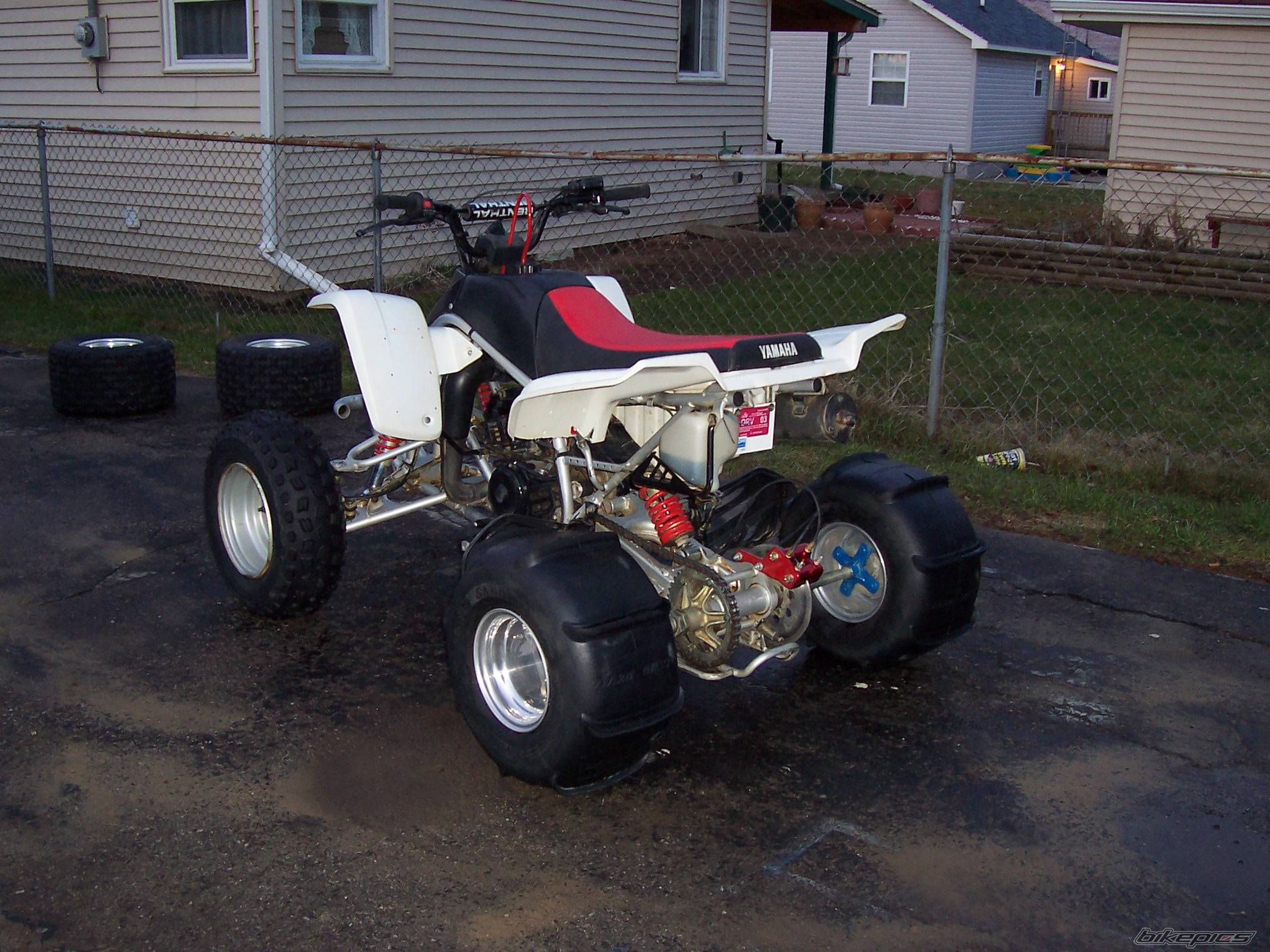 Photo 133561