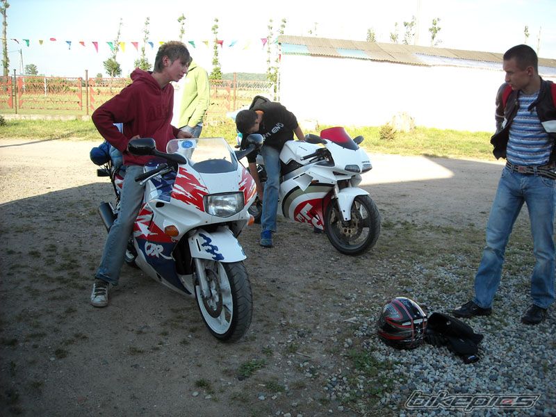 Photo 1335617