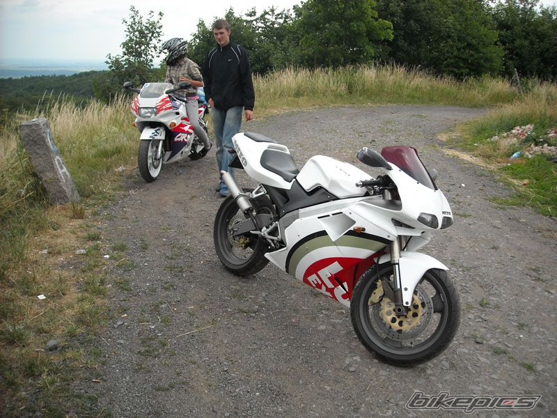 Photo 1335628