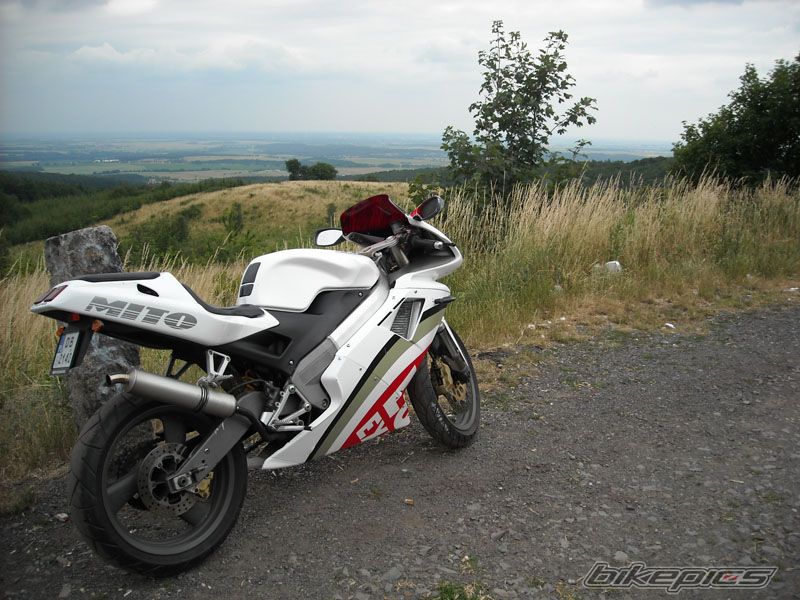 Photo 1335639