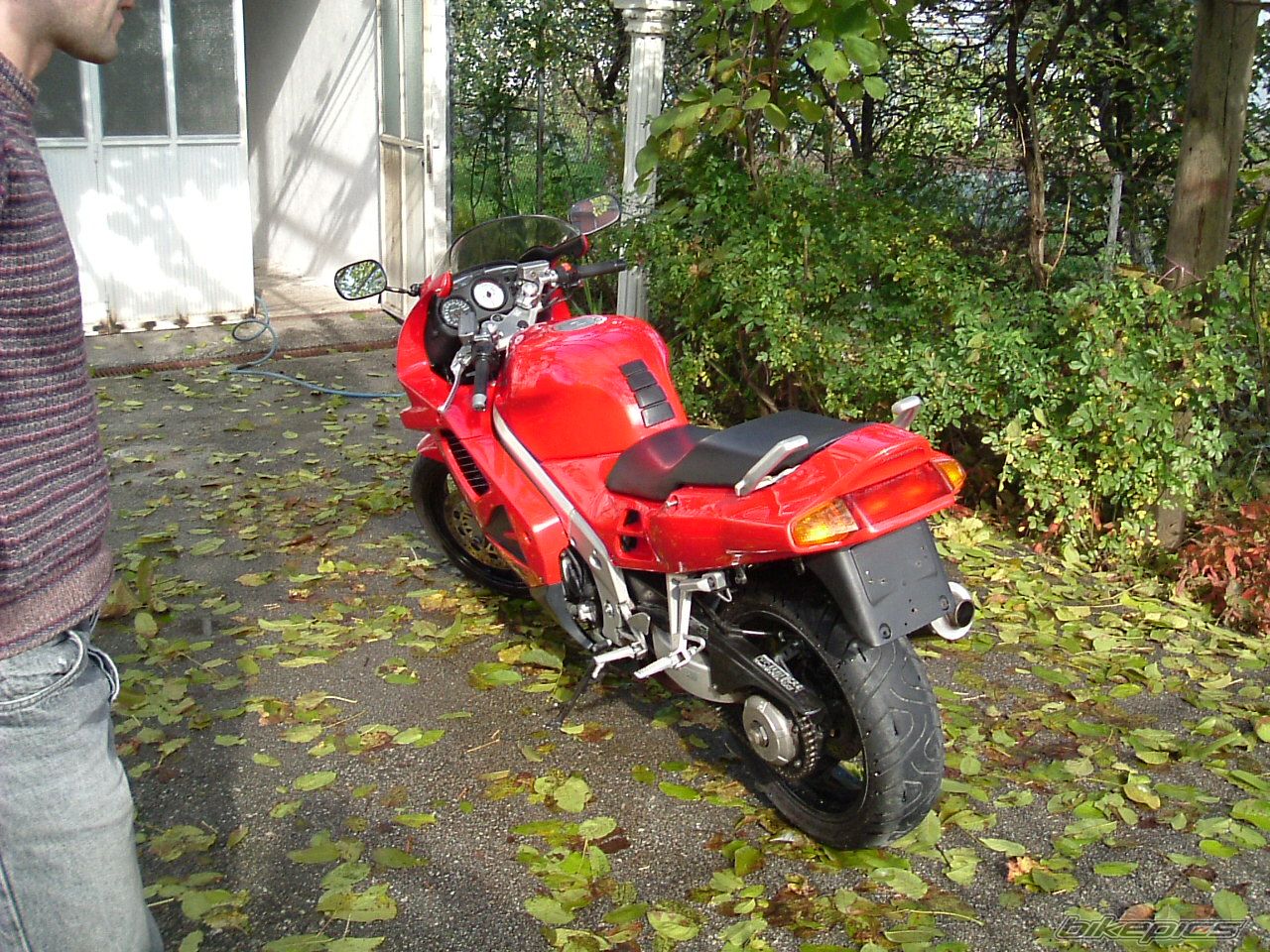 Photo 1335647