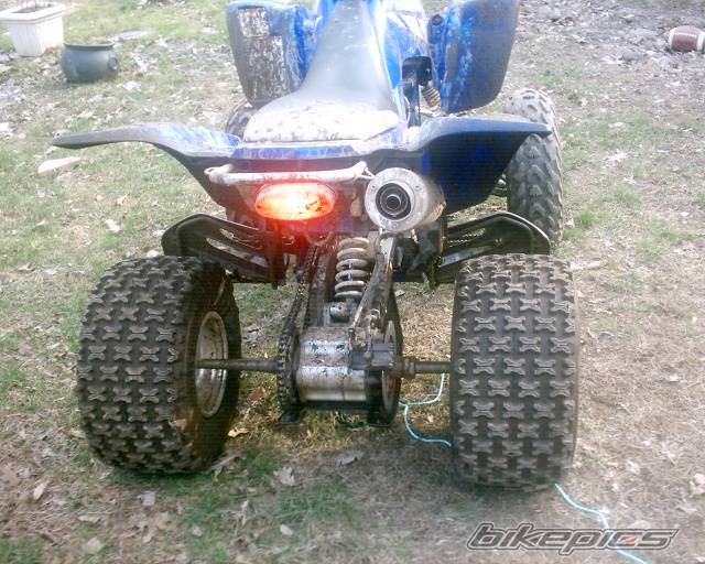 Photo 133567