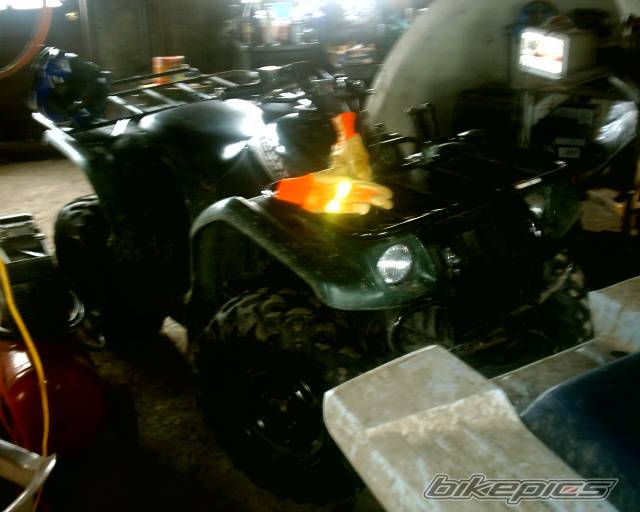 Photo 133572
