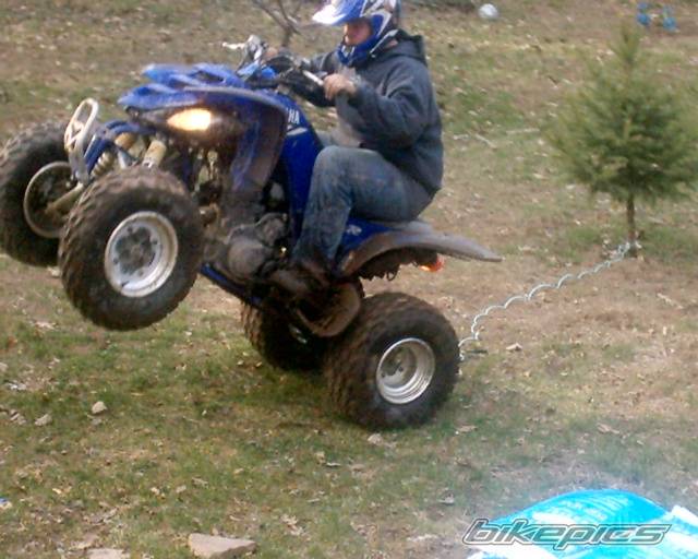 Photo 133573