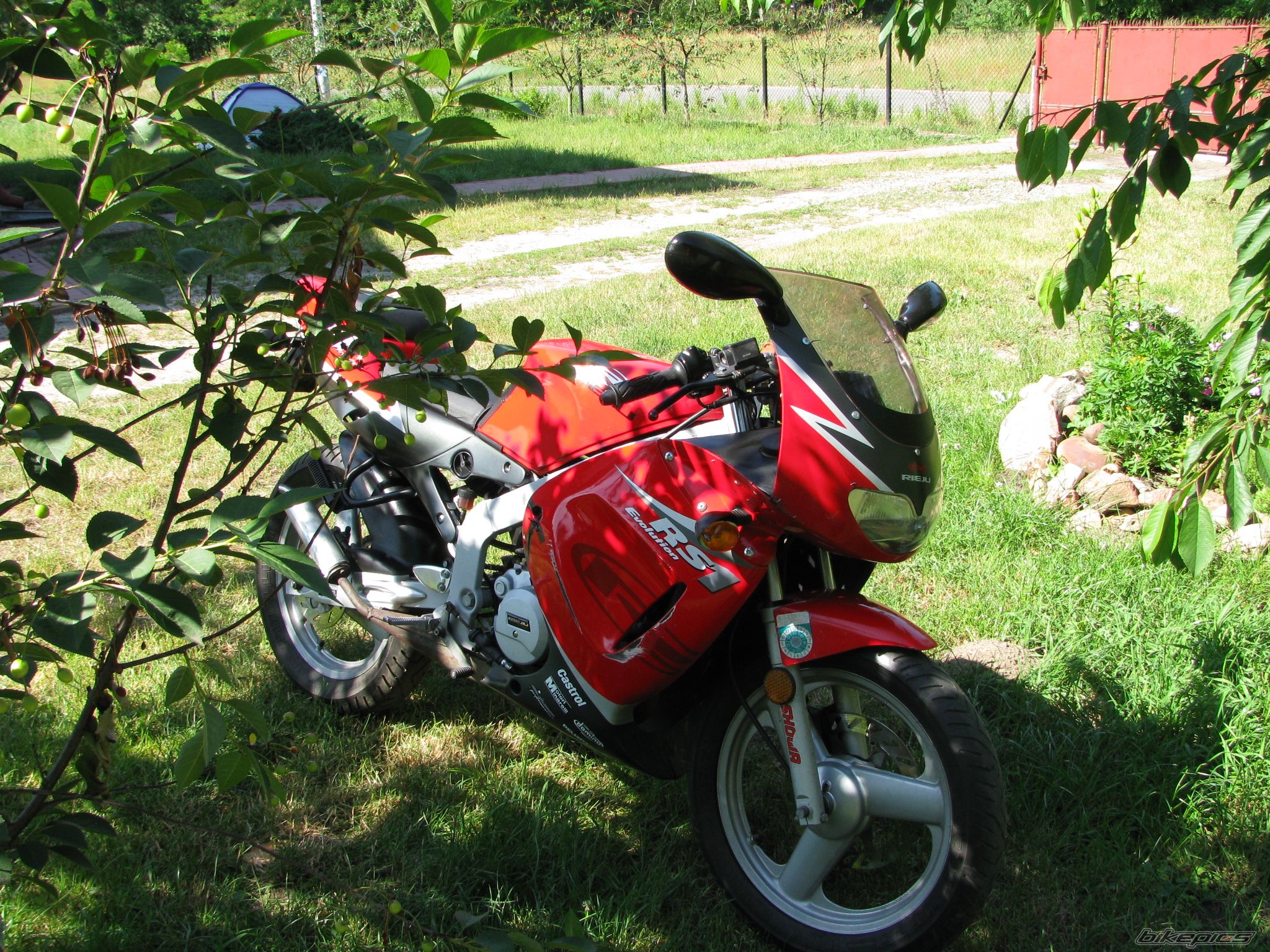 Photo 1335840