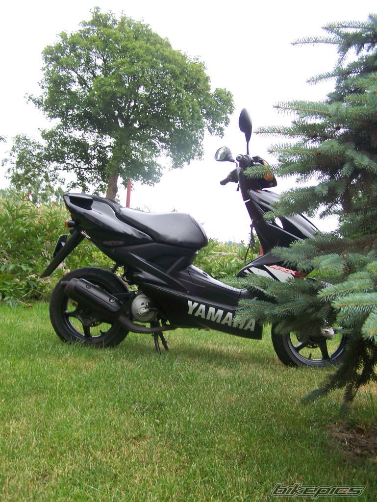 Photo 1335889