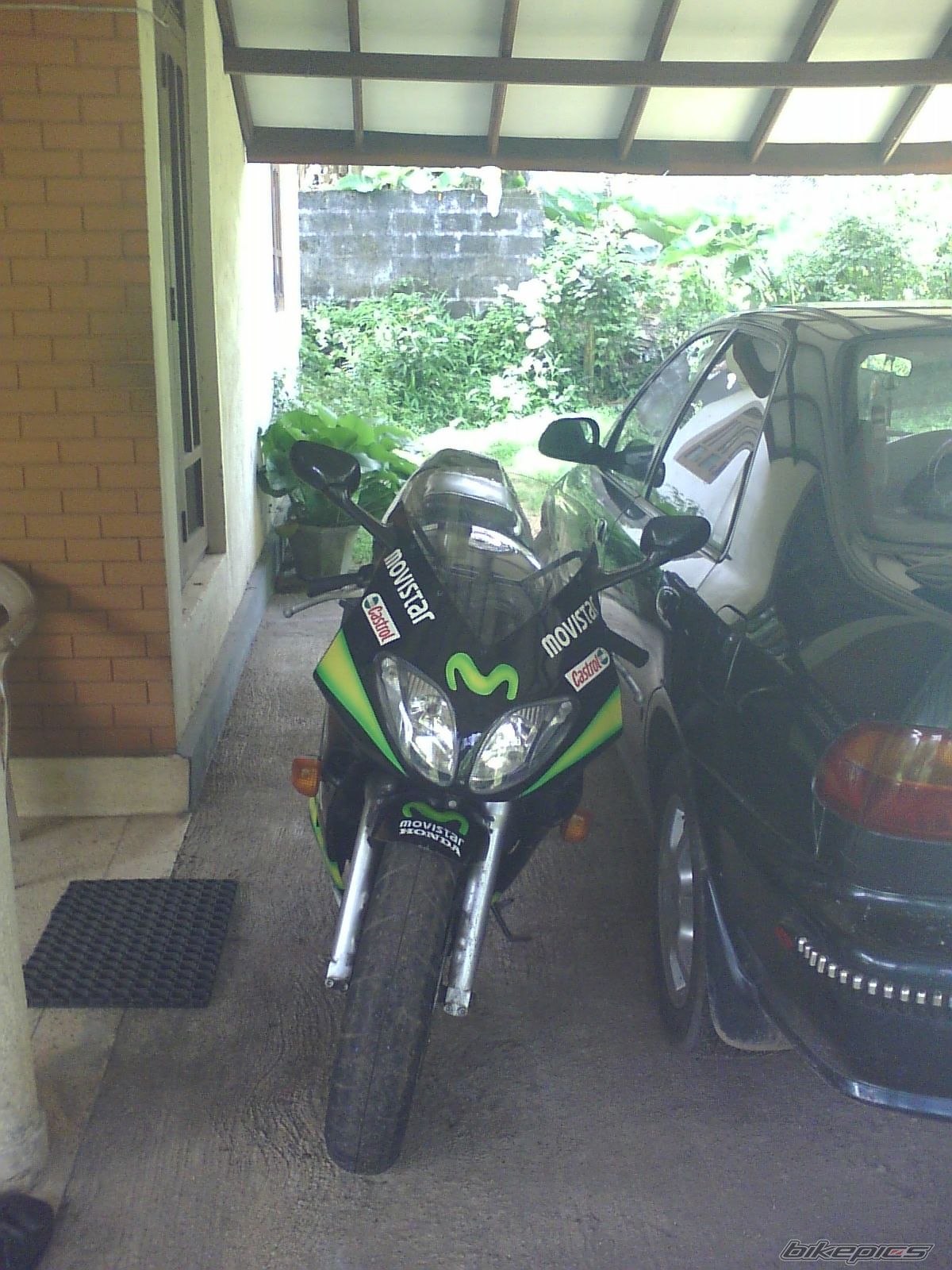 Photo 1335915