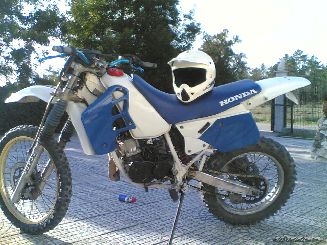 Photo 1335963