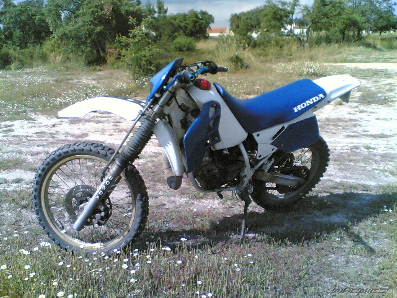 Photo 1335965