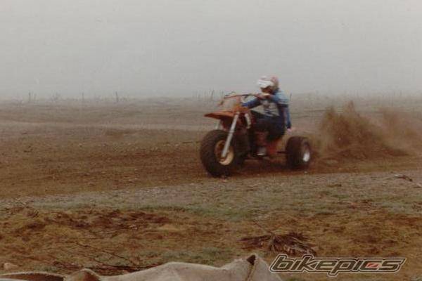 Photo 133597