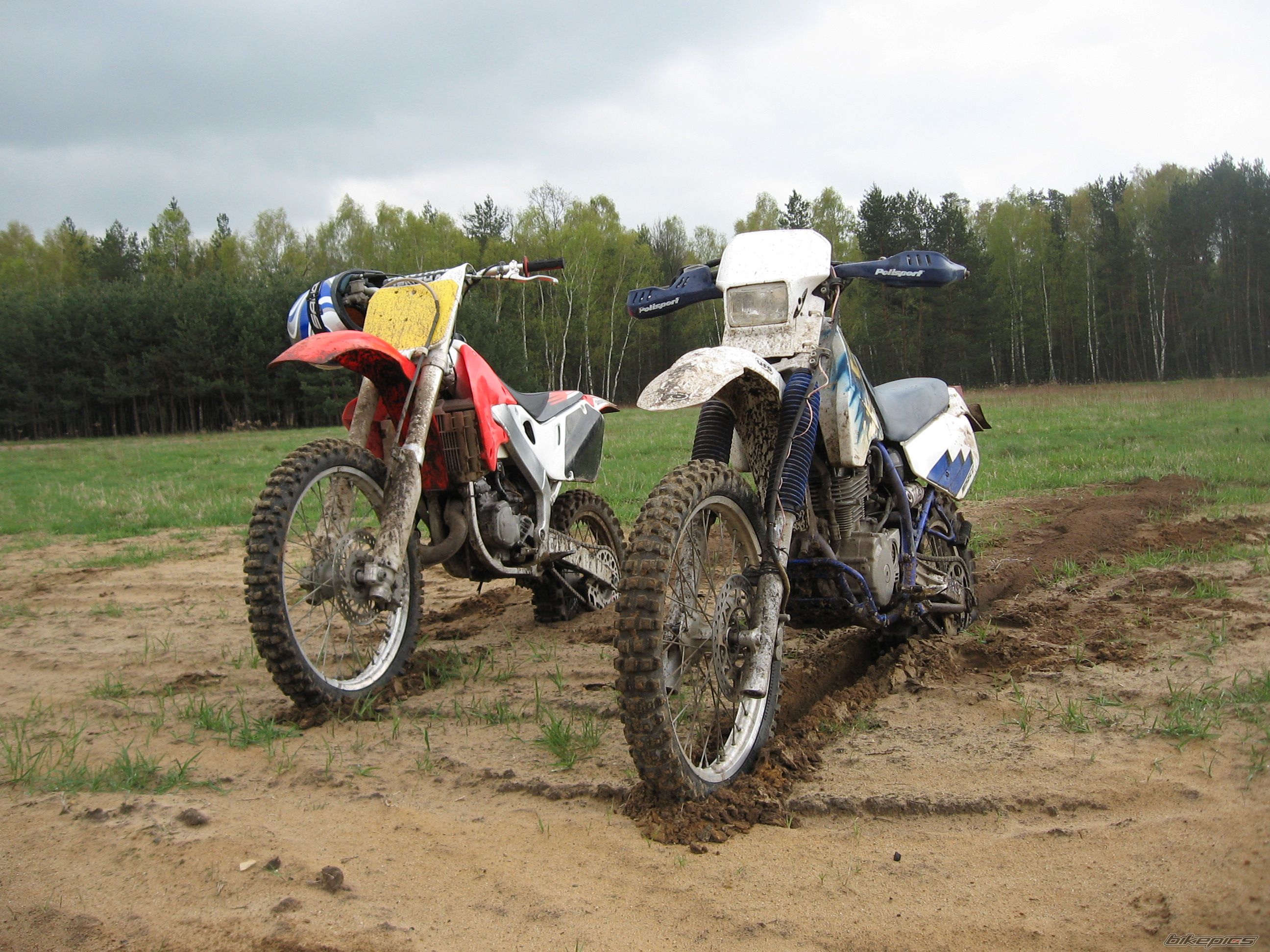 Bike Photo 1336021