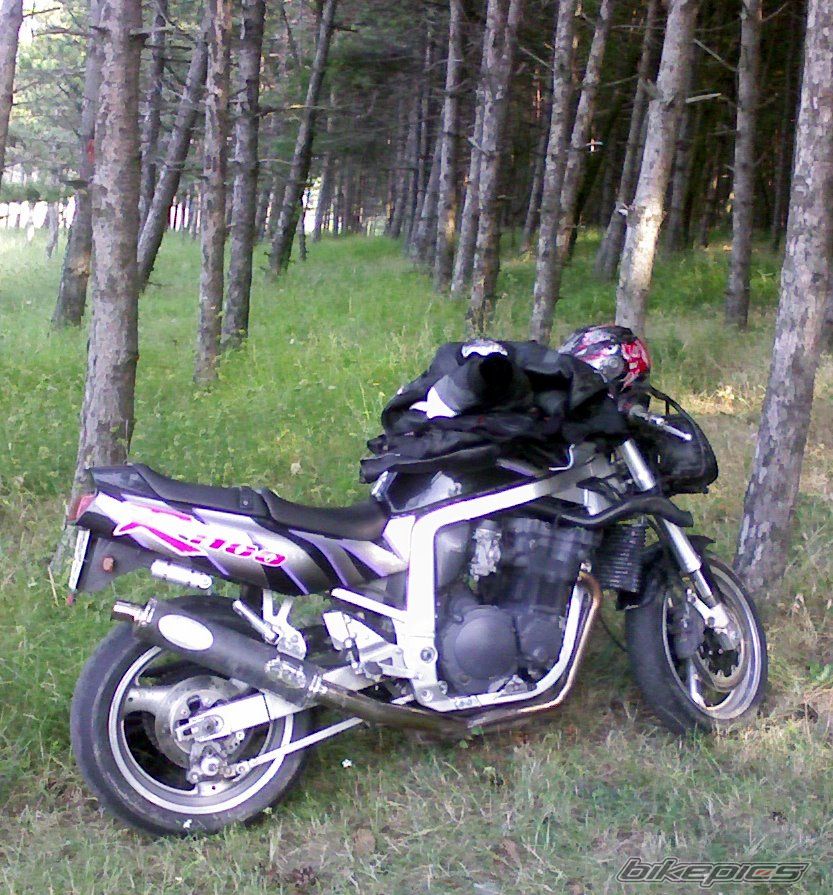 Photo 1336133