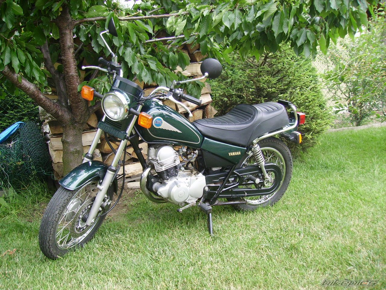 Bike Photo 1336140