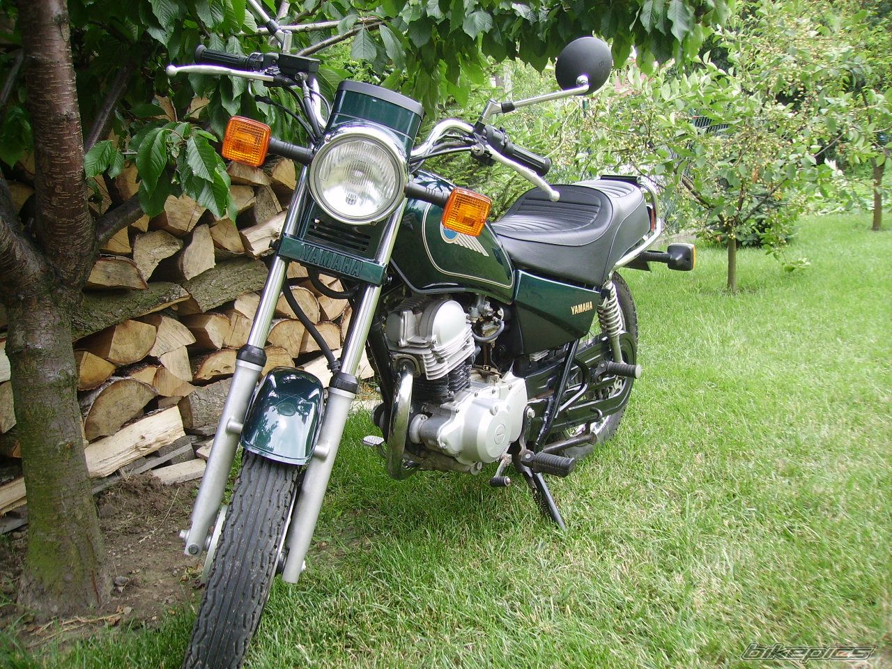 Bike Photo 1336142