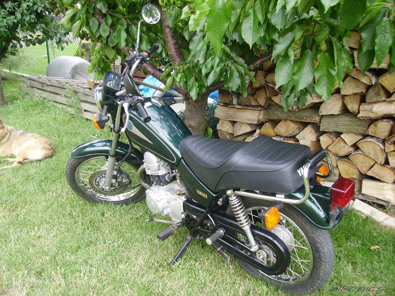 Bike Photo 1336143