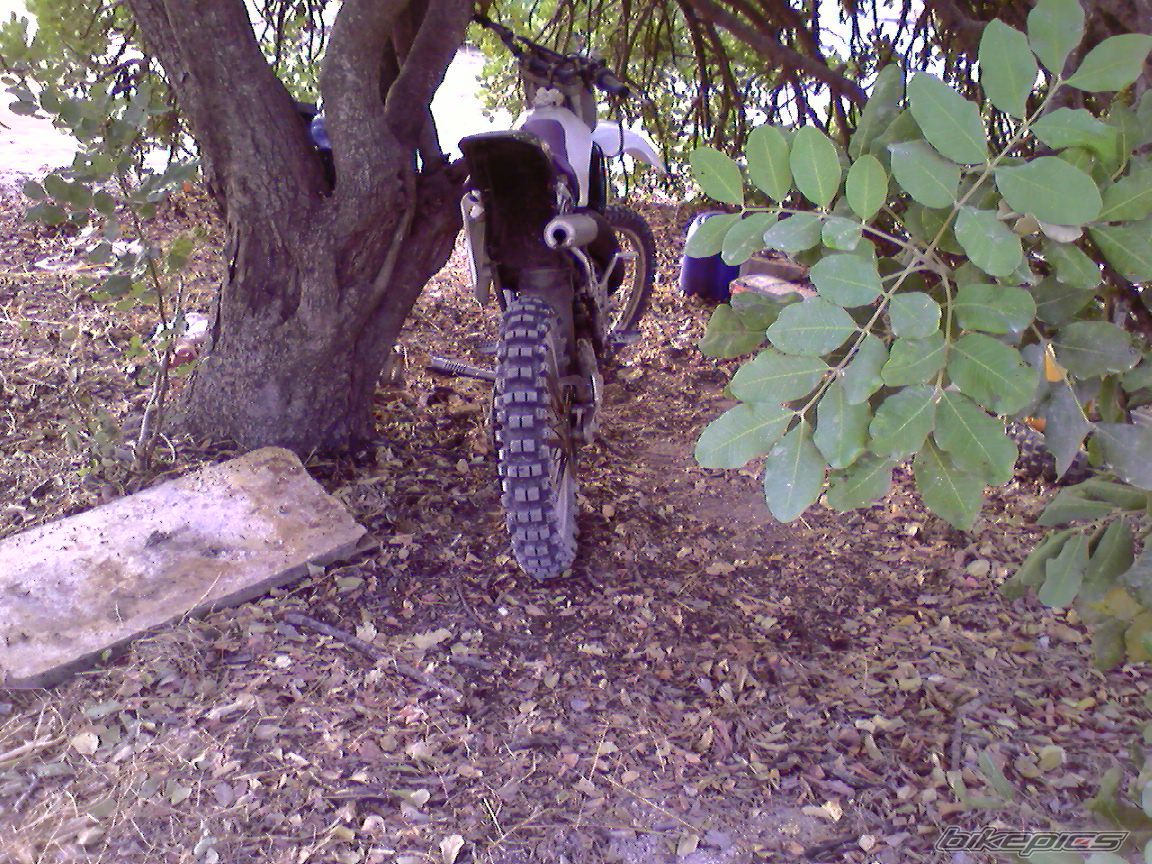 Photo 1336374