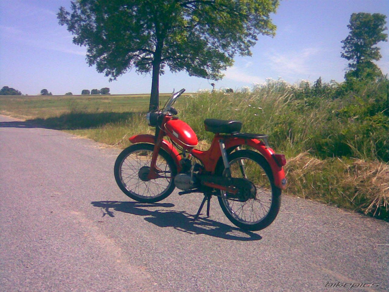 Photo 1336380