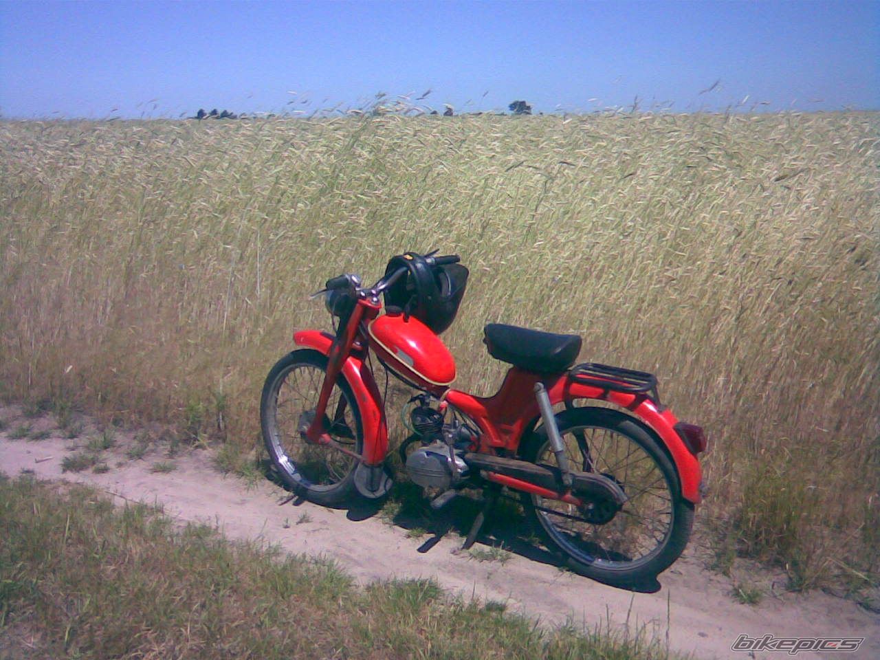 Photo 1336390